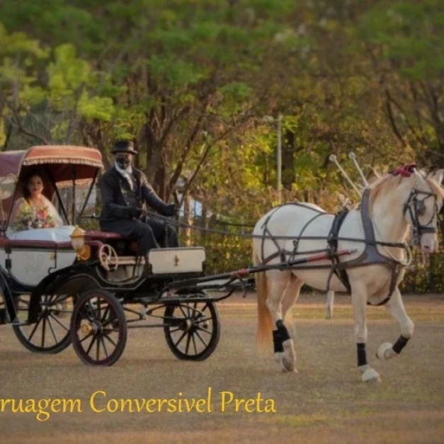 Carruagem Conversível Preta