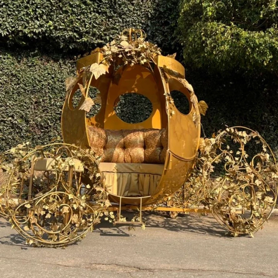 Decoração Carruagem Princesa