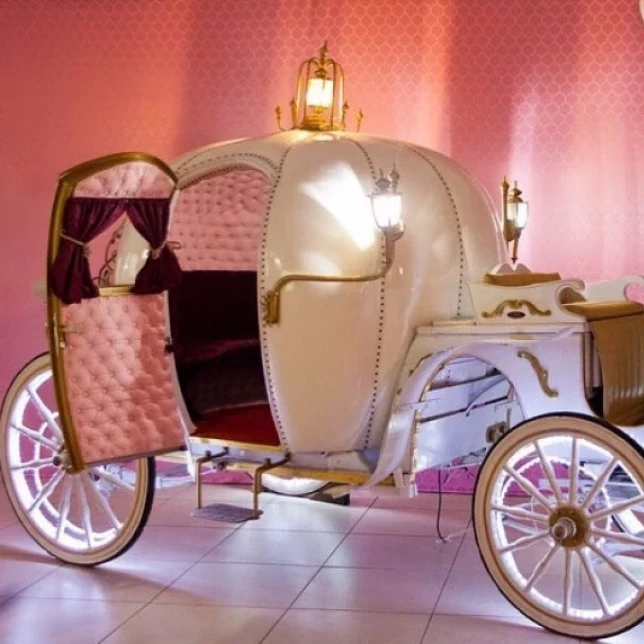 Decoração Carruagem Cinderela