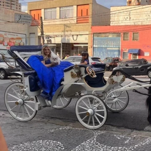 Carruagem Conversível Azul