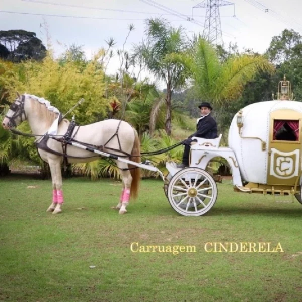 Carruagem Cinderela