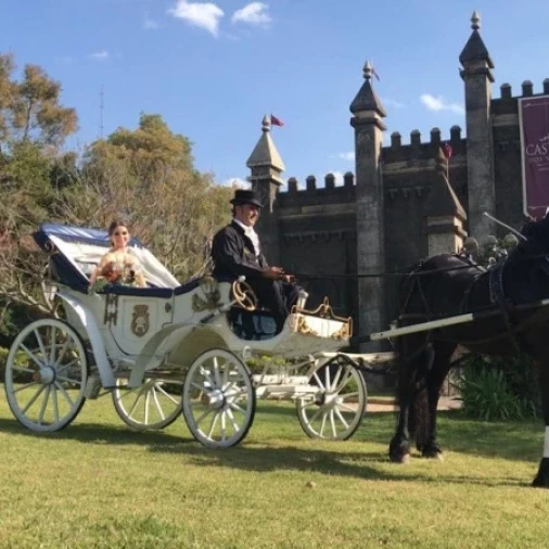 Carruagem Conversível Azul